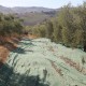 san-gabriele-olio-04