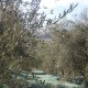 san-gabriele-olio-06