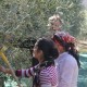 san-gabriele-olio-15