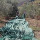 san-gabriele-olio-16