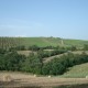 san-gabriele-vigna-02