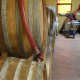 san-gabriele-vino-06