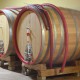 san-gabriele-vino-09