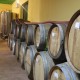 san-gabriele-vino-12