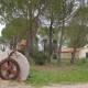 cuccuvaia_1
