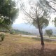 san-gabriele-05