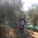 san-gabriele-olio-13